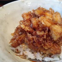 みかわ 是山居 - 天丼