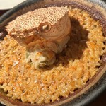 Potoro - 