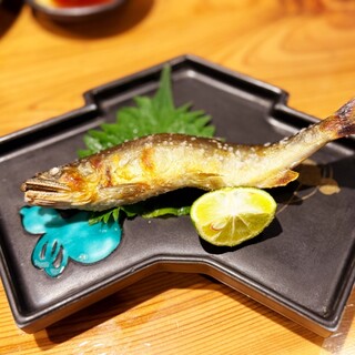 三鷹 風追ゐ_0