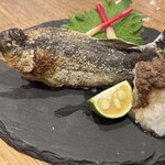 KATSUO  - 