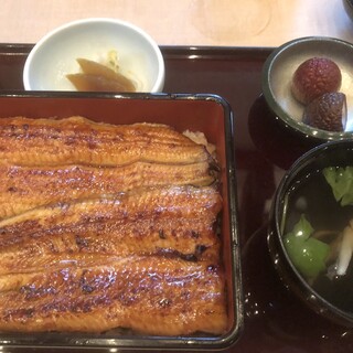 きくかわ_0