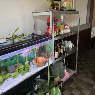 天鳳_2