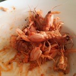 SAKURAGUMI - シャコの残骸　残念ながら食べてません