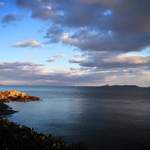 SAKURAGUMI - これも絵になります