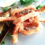 SAKURAGUMI - 剣先イカフリット