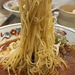 京紫 shibikara-noodles - 麺リフト