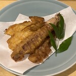 広島駅西居酒屋 りんごの木 - 