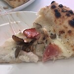 ELEFANTINO - キノコ〈2,200円）