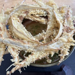 大地のうどん_0