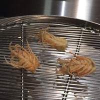 てんぷら 山の上 Roppongi 東京ミッドタウン店 - 