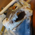 庄庵 - アマゴ断面