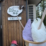松ぼっくり - 