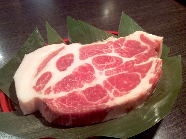 手作りホルモン焼 ぶたさま - 南新宿/ホルモン | 食べログ