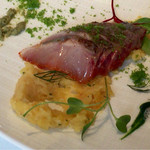 【前菜】
          山口県より直送の平あじのピメントエスプレットマリネ
          パセリ、タップナード、グリーンオリーブの３色のソース
          燻製の香りをつけたインカの目覚めのエクラゼを添えて
          