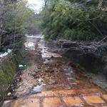 花仙庵 仙仁温泉 岩の湯 - 