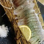 渋谷イカセンター - イカ