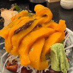 味の店 いわし - 立派すぎた！ホヤ