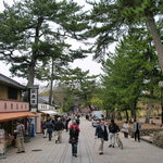 Toukiyou An - 東大寺参道左側です