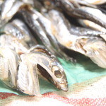 小泉屋商店 - 