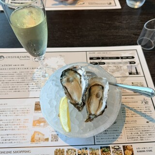OYSTER FARM_1