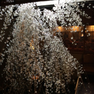 俵屋旅館 - その他写真: