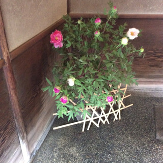 俵屋旅館 - その他写真: