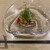 花見川 大富 - 料理写真: