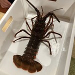 梅谷水産 海鮮 藍 - 