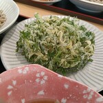 薬師そば - 春菊天