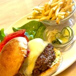 bills - 