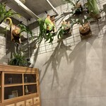 Wolf Mouth Japanese tea room - 