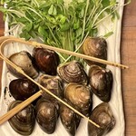 桑名蛤料理・蛤しゃぶしゃぶ 貝新 - 