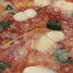MICASA - 