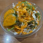 SRIJANA - 