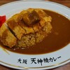 大阪 天神橋カレー