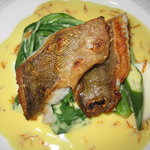 レヴェイヨン - 本日のメイン・アイナメのソテー＆紅花ソース