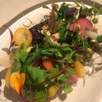 レフェルヴェソンス - 