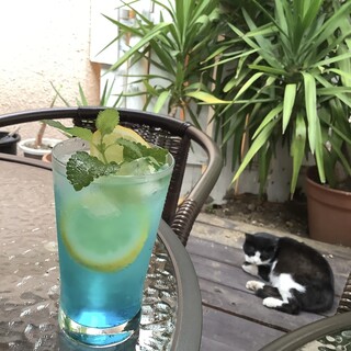 ねことバナナの木_1