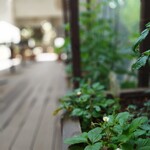 ape cucina naturale - 