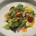 ピアッティ カステリーナ - 