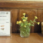 サニー フード カフェ アンド ミュージック - 