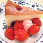 紙ひこうき - ≪'15/03/31撮影≫ケーキセット 880円 のベリーベリーベークチーズケーキ