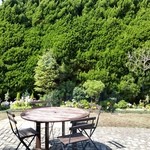 佛蘭西料理 名古屋 - 2015.3　お庭