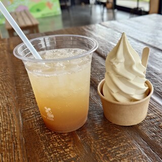 ミネ 秋吉台ジオパークセンター カルスター_0
