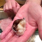 すし岩瀬 - Ｈ27.4 トリガイ