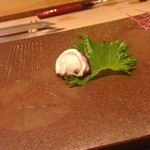 鮓 きずな - 明石産　蛸（頭）