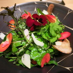 神保町 傳 - 畑の様子