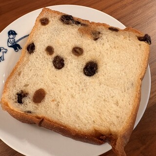 セイルノッツ_0