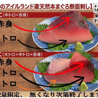 まぐろ専門店 MEGRO_0