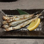 居酒屋 さとう - 